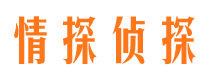 海安寻人公司